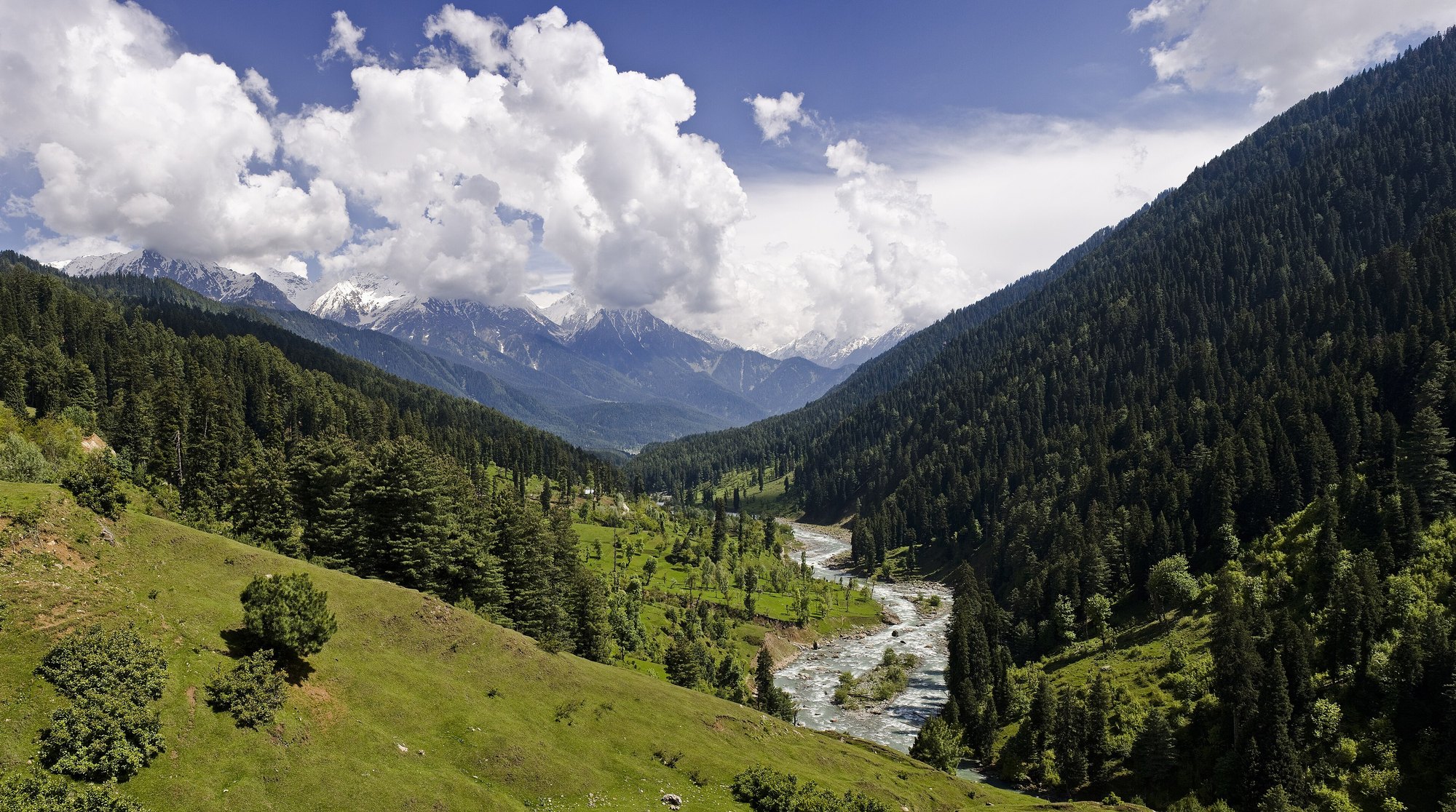 All in one Kashmir